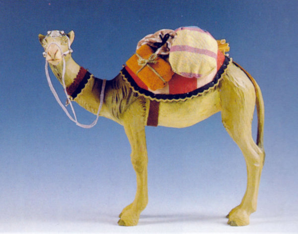 Kamel, seitlich schauend, mit Gepäck