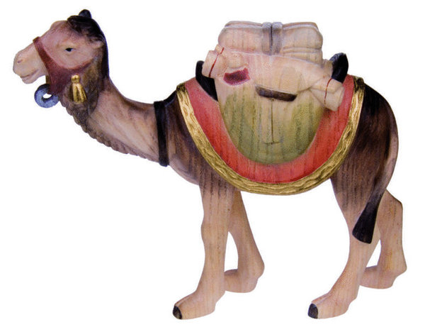 Kamel mit Gepäck stehend Pema Krippe