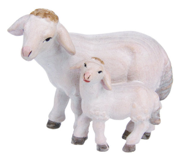Schaf mit Lamm stehend