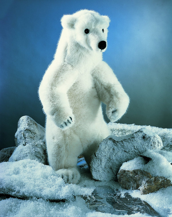 Eisbär "Nanook" 52 cm von Kösen