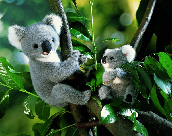 Koala Bär, 23 cm Kösen-Plüschtier