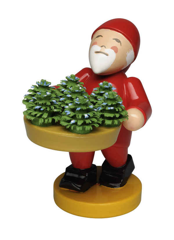 Gnome With Little Plants