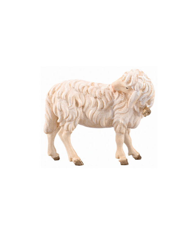 Schaf leckend mit Glocke